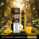 Al Fakher Mega Max 40K Puffs Disposable Vape Mango Pineapple