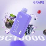 Elf Bar BC10000 Disposable Vape Grape in UAE