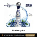 Humo Azul 24000 puffs disposable vape Blueberry Ice