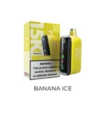 Pod Salt 15000 Puffs Disposable Vape BANANA ICE