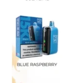 Pod Salt 15000 Puffs Disposable Vape BLUE RASPBERRY