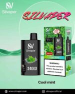 Silvaper 24000 Puffs Disposable Vape In UAE Cool Mint