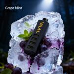 VAAL Cyber Shisha 50000 Puffs Disposable Vape Grape Mint