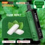 HQD Shisha 20000 Puffs Disposable Vape Gum Mint