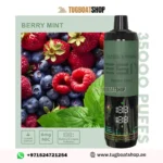 Tesiyi Ultra Shisha 35000 Puffs Berry Mint Disposable Vape In UAE