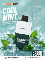 Bounce X Turbo 45000 Puffs Cool Mint Disposable Vape in Dubai