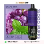 Tesiyi Ultra Shisha 35000 Puffs Grape Mint Disposable Vape In UAE