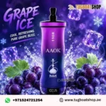 AAOK 110k Puffs GRAPE ICE Disposable Vape in Dubai